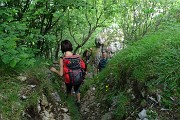 55 Seguendo il sent. 521 scendiamo ai torrioni d'arrampicata in Cornagera